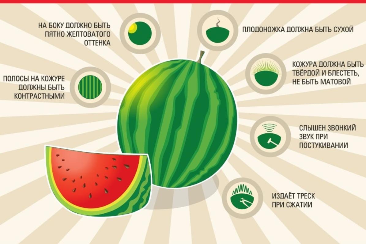 Замечательный на вкус полосатый наш арбуз Замечательный на вкус полосатый наш арбуз