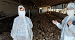 За период самоизоляции в Оренбурге участниками НСС стали 10 видов продукции и услуг