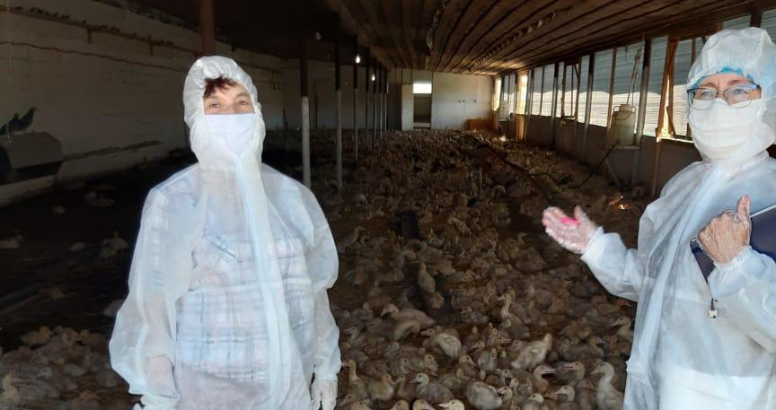 За период самоизоляции в Оренбурге участниками НСС стали 10 видов продукции и услуг