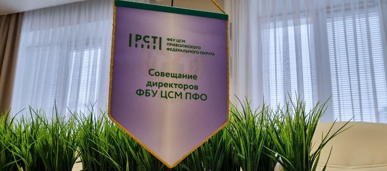 Развитие новых направлений деятельности ЦСМ обсудили на совещании директоров ЦСМ ПФО