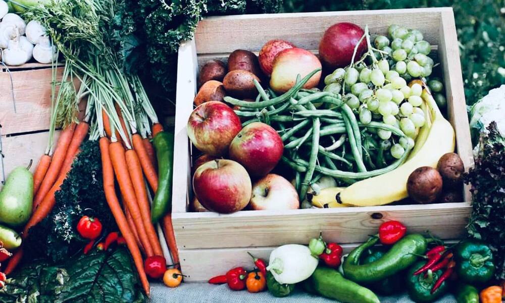 Утверждена Стратегия развития производства органической продукции в российской федерации до 2030 года