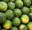 Стандарты помогут выбрать самые качественные